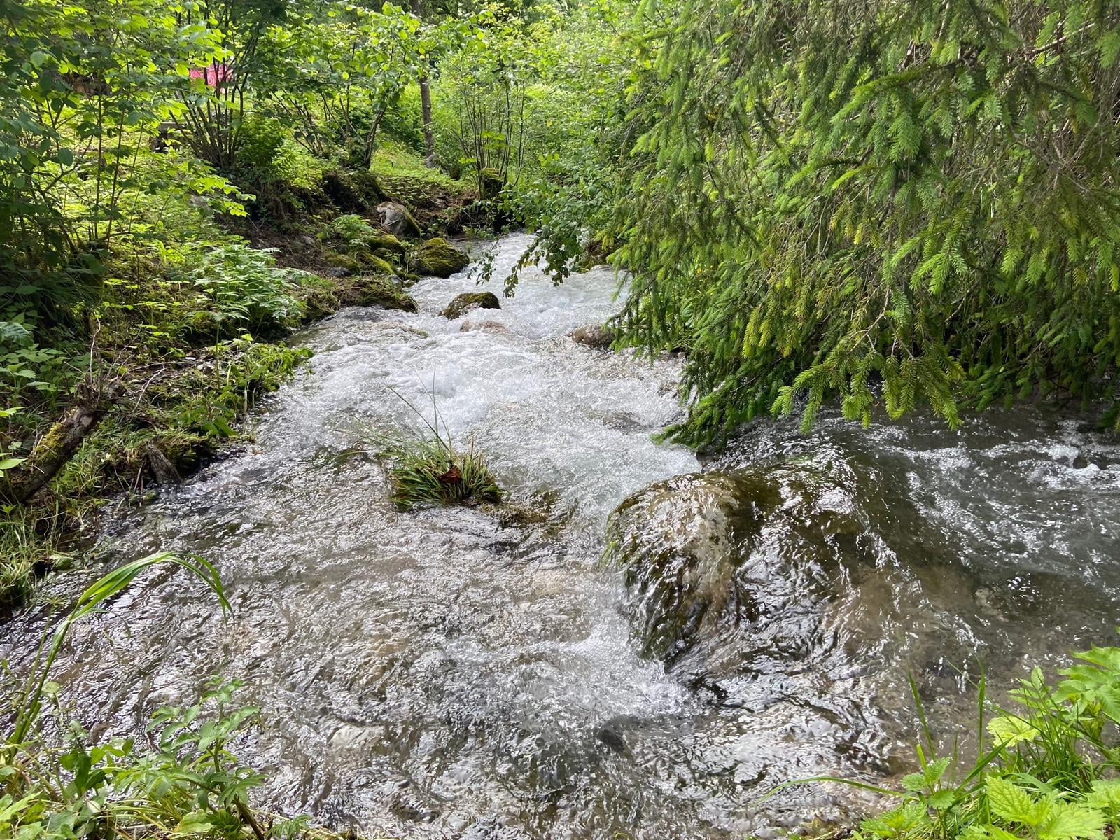 Baignade